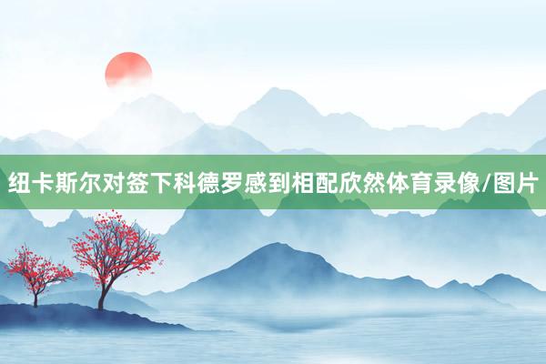 纽卡斯尔对签下科德罗感到相配欣然体育录像/图片