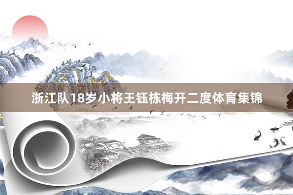 浙江队18岁小将王钰栋梅开二度体育集锦