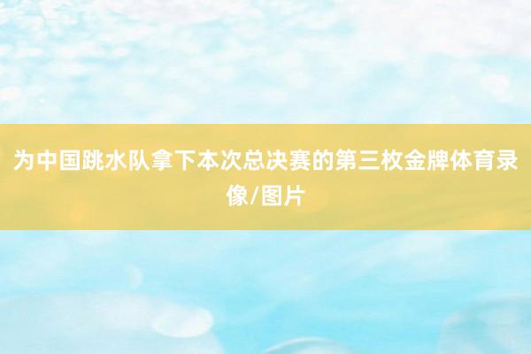 为中国跳水队拿下本次总决赛的第三枚金牌体育录像/图片