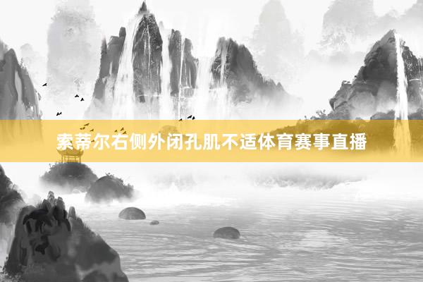 索蒂尔右侧外闭孔肌不适体育赛事直播