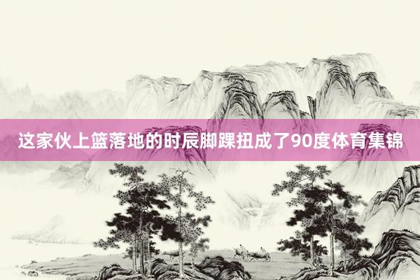 这家伙上篮落地的时辰脚踝扭成了90度体育集锦