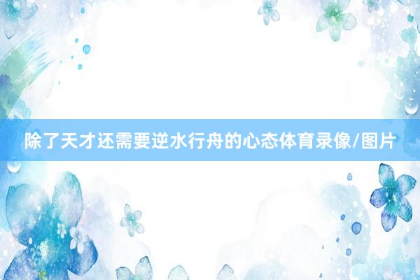 除了天才还需要逆水行舟的心态体育录像/图片