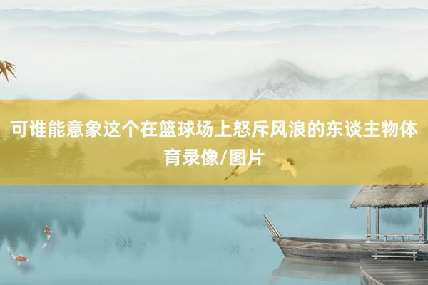 可谁能意象这个在篮球场上怒斥风浪的东谈主物体育录像/图片