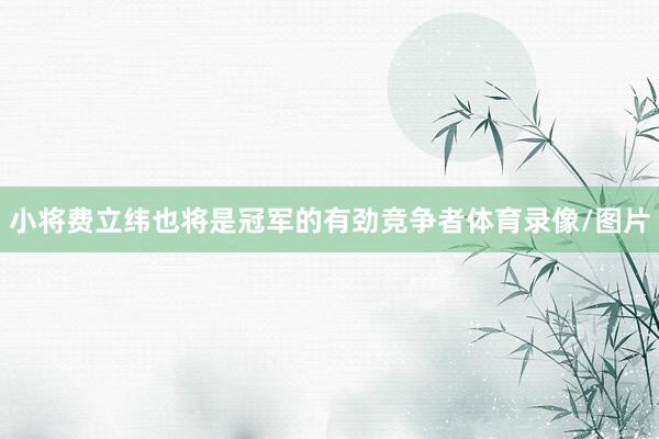 小将费立纬也将是冠军的有劲竞争者体育录像/图片