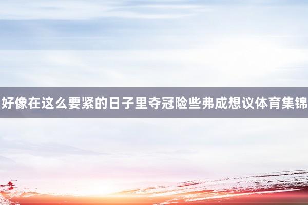 好像在这么要紧的日子里夺冠险些弗成想议体育集锦