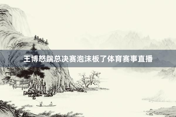 王博怒踹总决赛泡沫板了体育赛事直播