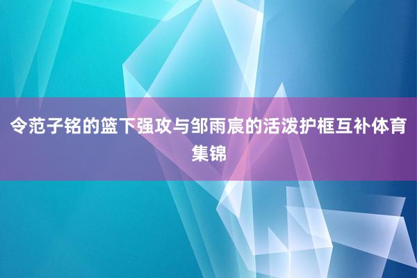 令范子铭的篮下强攻与邹雨宸的活泼护框互补体育集锦