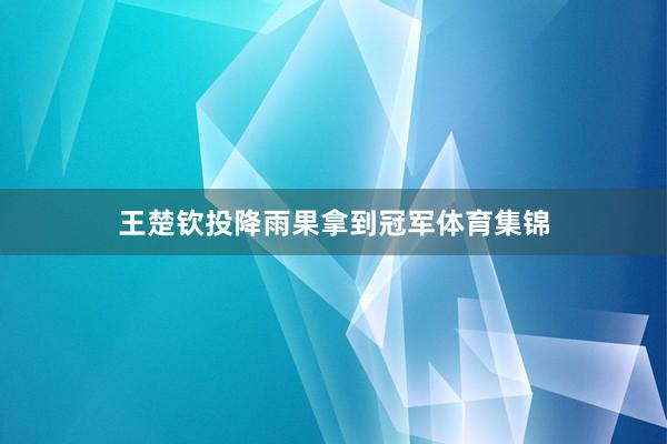 王楚钦投降雨果拿到冠军体育集锦