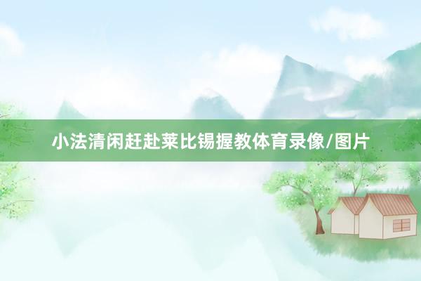 小法清闲赶赴莱比锡握教体育录像/图片