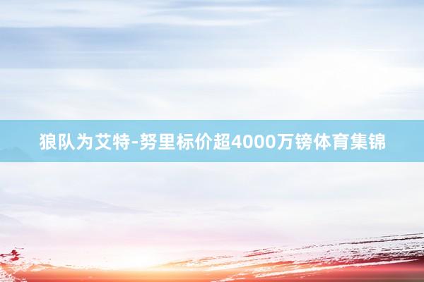 狼队为艾特-努里标价超4000万镑体育集锦