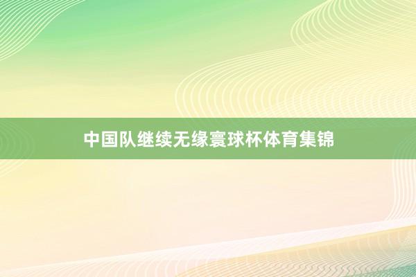 中国队继续无缘寰球杯体育集锦