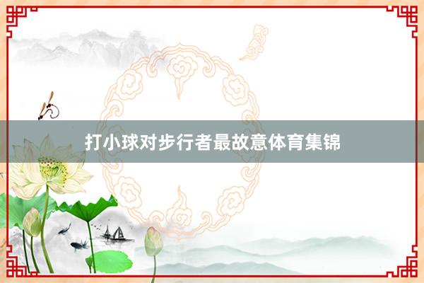 打小球对步行者最故意体育集锦