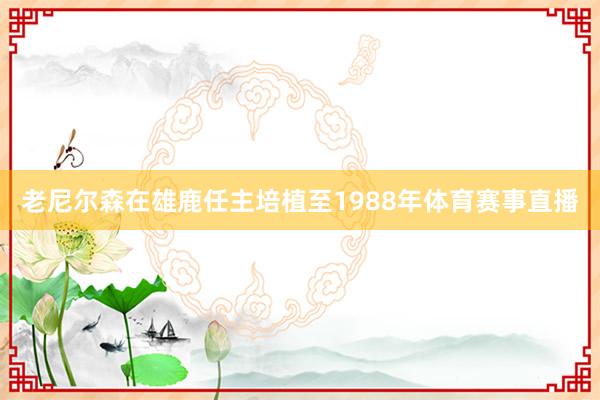 老尼尔森在雄鹿任主培植至1988年体育赛事直播