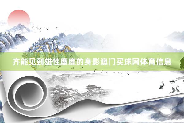 齐能见到雄性麋鹿的身影澳门买球网体育信息