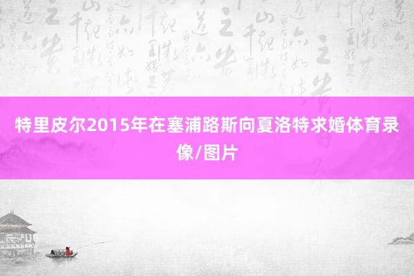 特里皮尔2015年在塞浦路斯向夏洛特求婚体育录像/图片