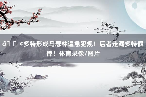 💢多特形成马瑟林遑急犯规！后者走漏多特假摔！体育录像/图片