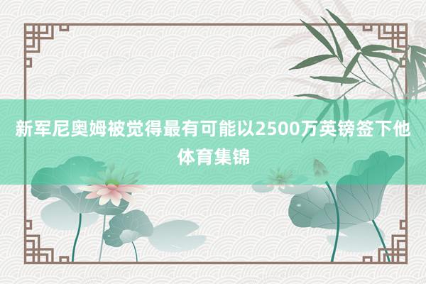 新军尼奥姆被觉得最有可能以2500万英镑签下他体育集锦