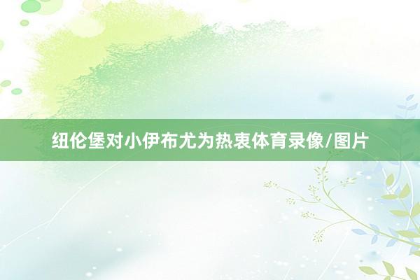 纽伦堡对小伊布尤为热衷体育录像/图片