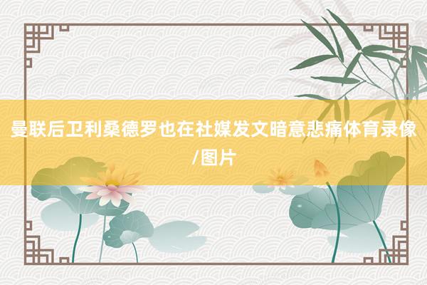 曼联后卫利桑德罗也在社媒发文暗意悲痛体育录像/图片