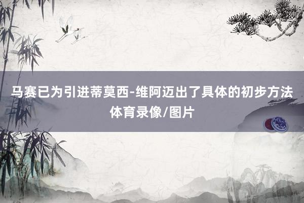 马赛已为引进蒂莫西-维阿迈出了具体的初步方法体育录像/图片