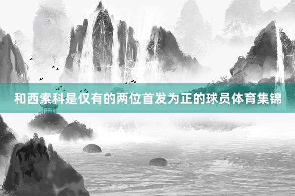 和西索科是仅有的两位首发为正的球员体育集锦