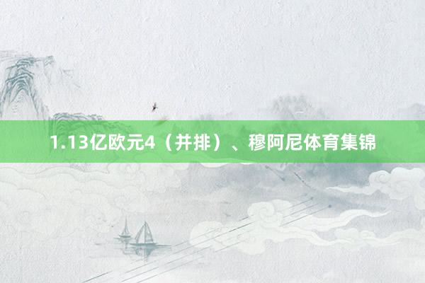 1.13亿欧元4(并排)、穆阿尼体育集锦