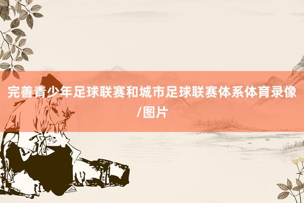 完善青少年足球联赛和城市足球联赛体系体育录像/图片