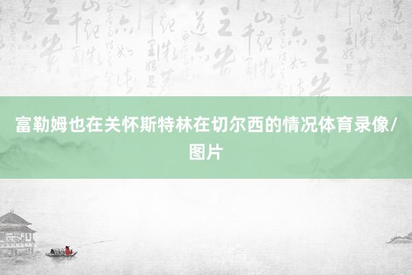 富勒姆也在关怀斯特林在切尔西的情况体育录像/图片