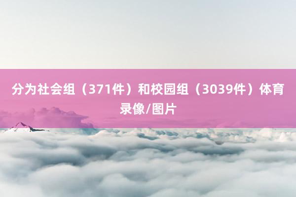 分为社会组（371件）和校园组（3039件）体育录像/图片