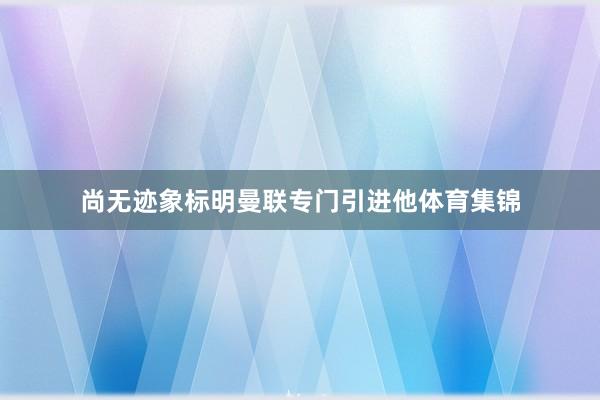 尚无迹象标明曼联专门引进他体育集锦
