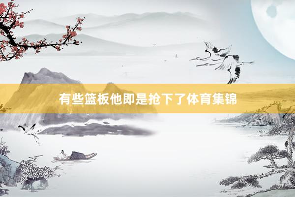 有些篮板他即是抢下了体育集锦