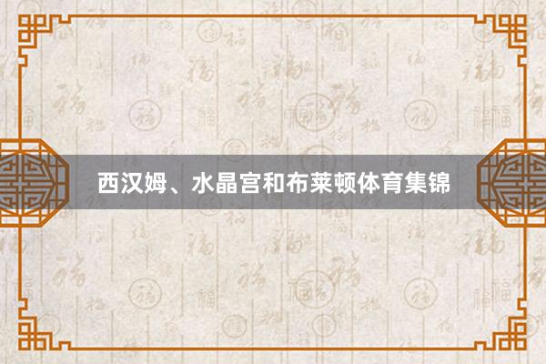 西汉姆、水晶宫和布莱顿体育集锦