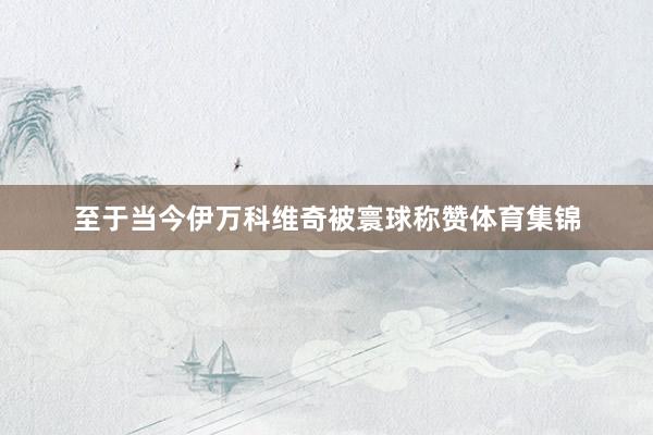 至于当今伊万科维奇被寰球称赞体育集锦