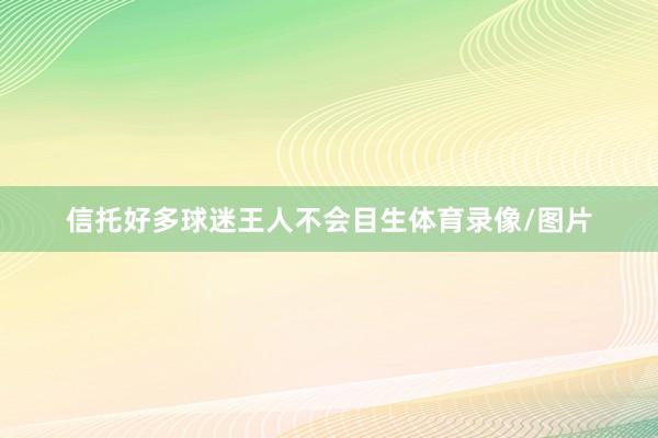 信托好多球迷王人不会目生体育录像/图片