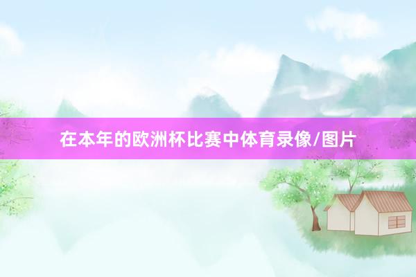 在本年的欧洲杯比赛中体育录像/图片
