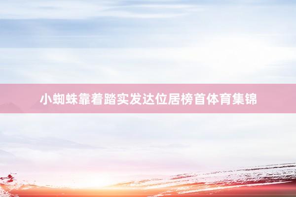 小蜘蛛靠着踏实发达位居榜首体育集锦