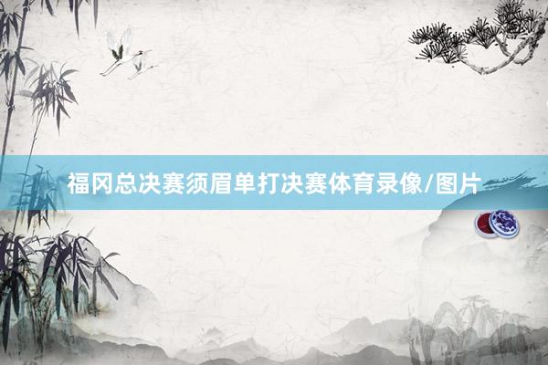 福冈总决赛须眉单打决赛体育录像/图片
