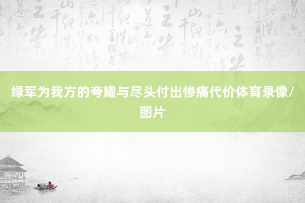 绿军为我方的夸耀与尽头付出惨痛代价体育录像/图片