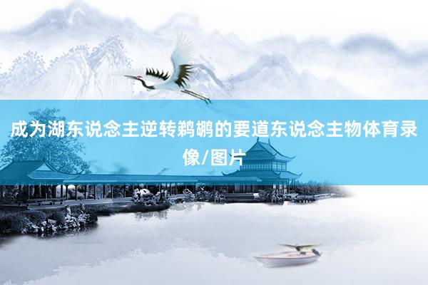 成为湖东说念主逆转鹈鹕的要道东说念主物体育录像/图片