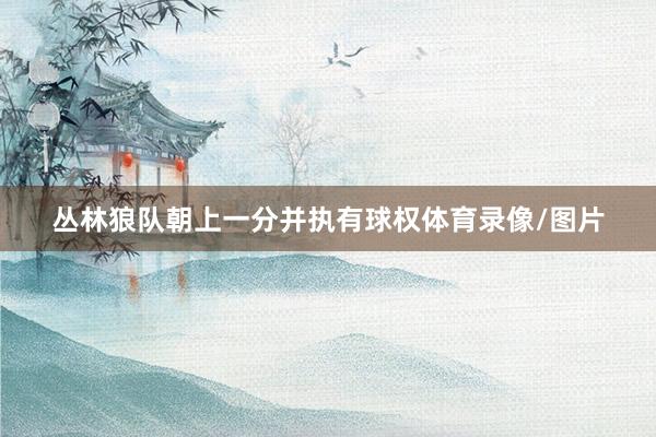 丛林狼队朝上一分并执有球权体育录像/图片