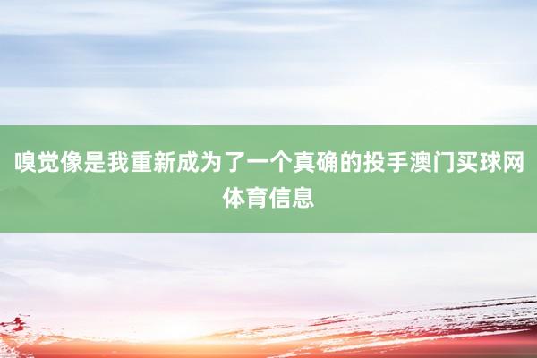 嗅觉像是我重新成为了一个真确的投手澳门买球网体育信息