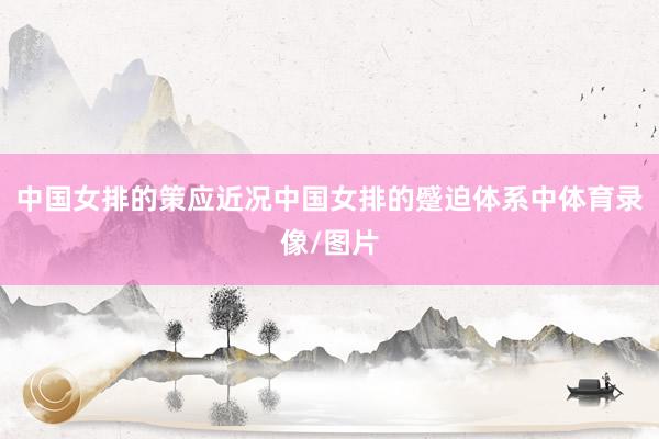 中国女排的策应近况中国女排的蹙迫体系中体育录像/图片
