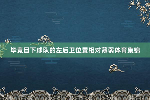 毕竟目下球队的左后卫位置相对薄弱体育集锦