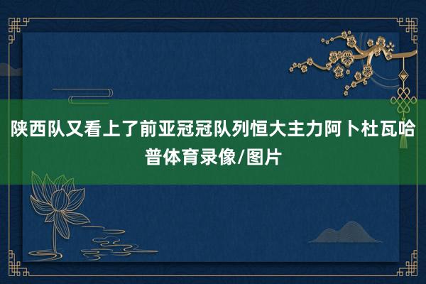 陕西队又看上了前亚冠冠队列恒大主力阿卜杜瓦哈普体育录像/图片