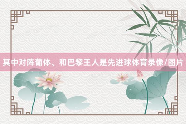 其中对阵葡体、和巴黎王人是先进球体育录像/图片