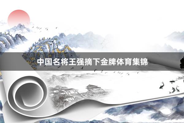 中国名将王强摘下金牌体育集锦