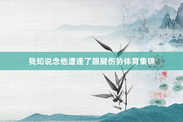 我知说念他遭逢了跟腱伤势体育集锦