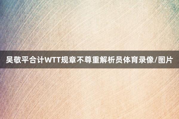吴敬平合计WTT规章不尊重解析员体育录像/图片