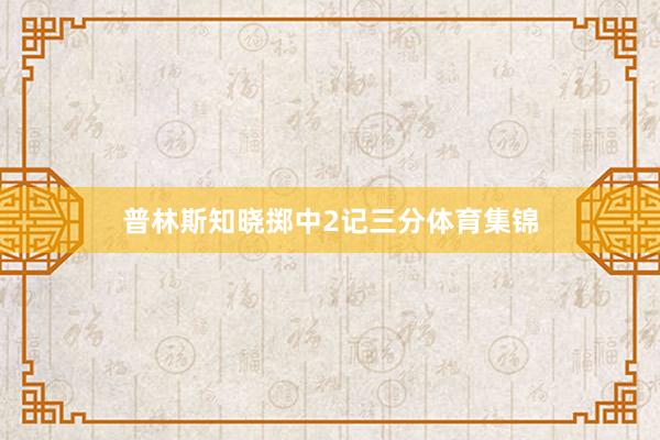 普林斯知晓掷中2记三分体育集锦