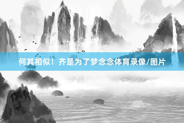 何其相似!齐是为了梦念念体育录像/图片